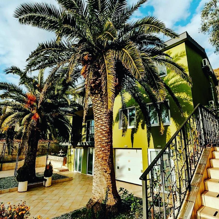Appartement Palm Point
